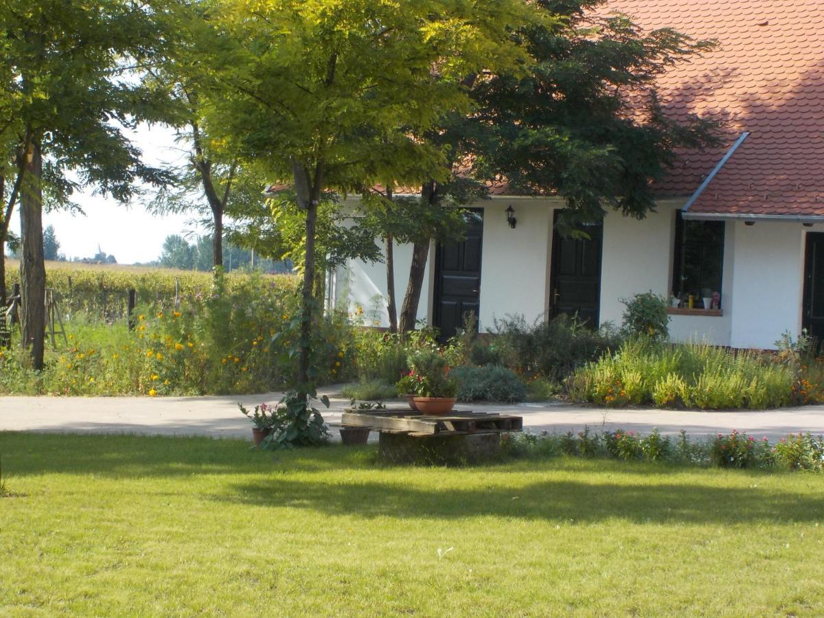 Guest House Vidravar Tabdi Εξωτερικό φωτογραφία