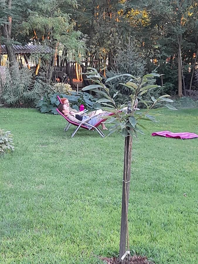 Guest House Vidravar Tabdi Εξωτερικό φωτογραφία