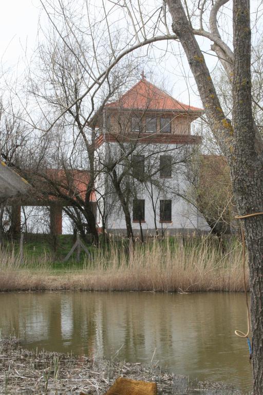 Guest House Vidravar Tabdi Εξωτερικό φωτογραφία